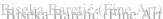 shapeimage_2_link_19