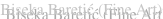 shapeimage_2_link_20