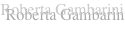 shapeimage_2_link_5